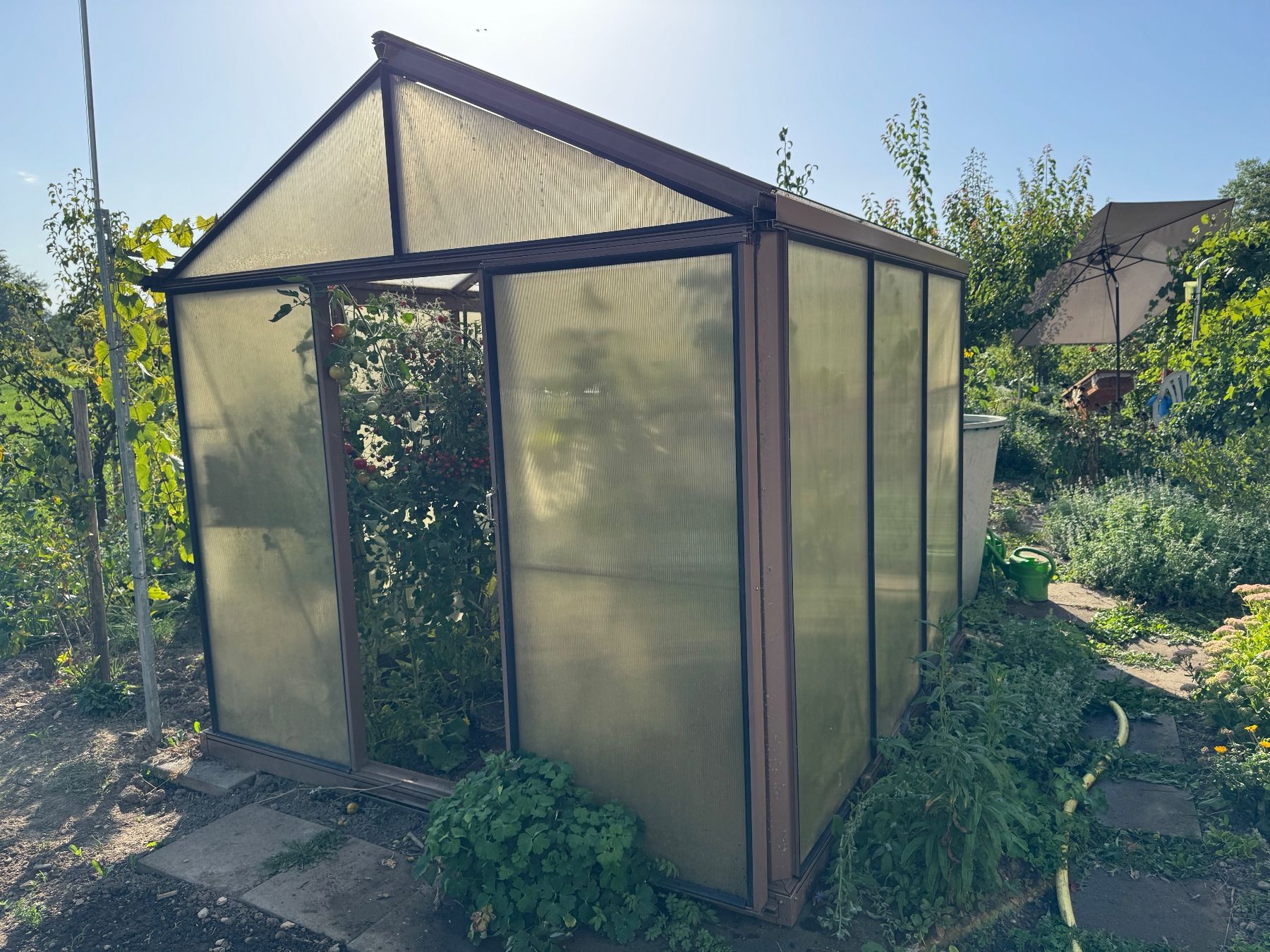 Cabanes de jardin & serres: Gewächshaus – D'occasion à Bubikon par hanspeterbhp 1