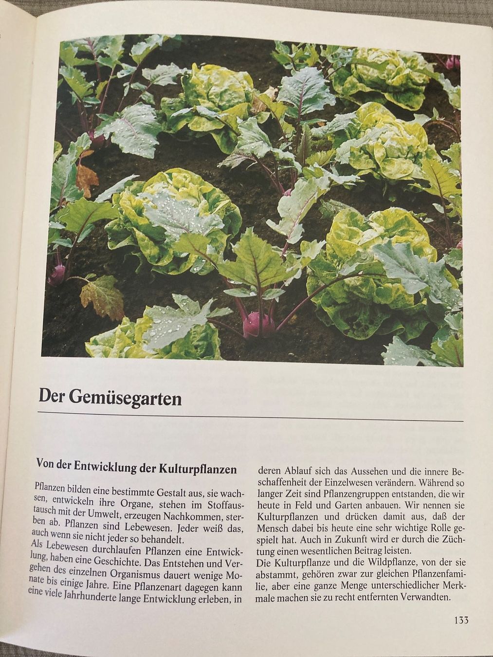 Bücher: Das biologische Gartenbuch – Gebraucht aus Zollikofen von schildi13 5