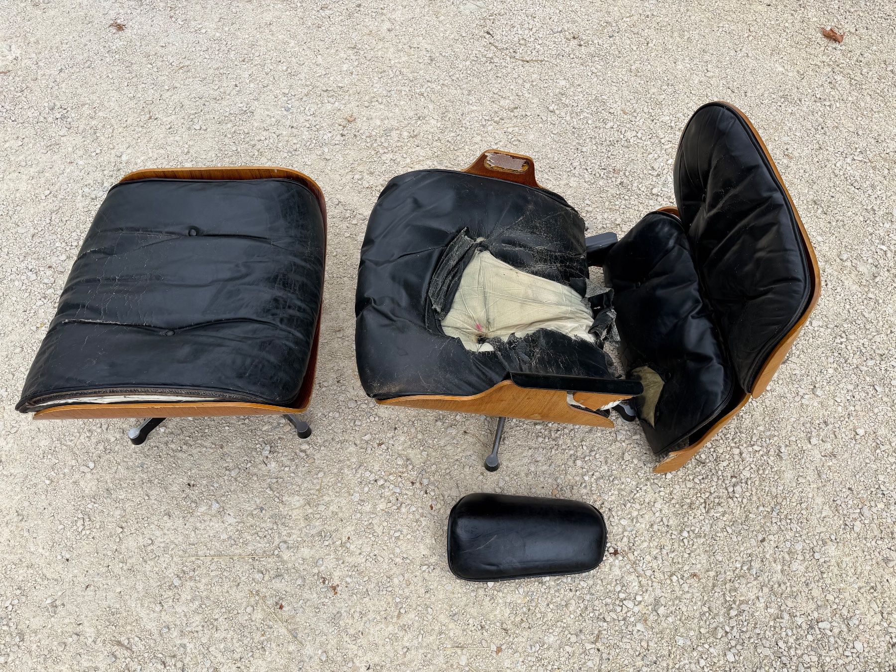 Eames Poltrone: Eames Lounge Chair - Ersatzteilspender – Difettoso da balsthal venduto da Roggenschnarz