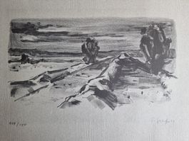 GRAF ERNST LITHOGRAPHIE SIGNIERT NUMMERIERT