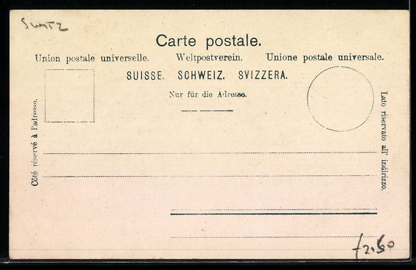 Cartoline postali: AK Brienz, Panorama mit Uferblick – Usato da Berlin venduto da bartko-reher 1