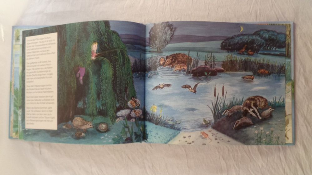 Tiere im und am Teich / Tümpelkinder / SachBilderbuch Kaufen auf Ricardo