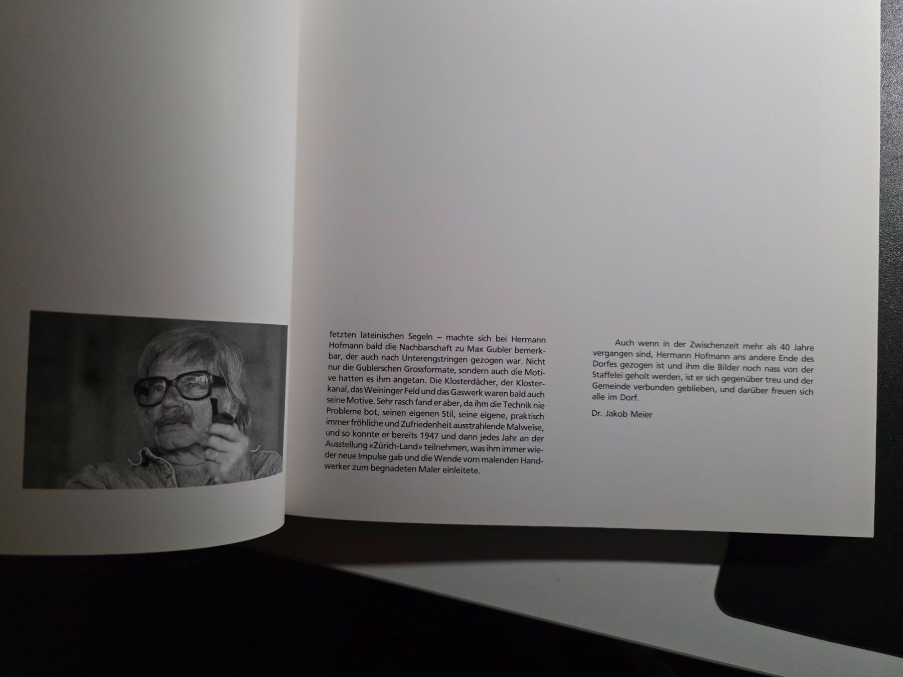 Libri: Hermann Hofmann Unterengstringen - Kunst Katalog 1990 – Usato da Walterswil BE venduto da Lonitti 4