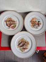 6 assiettes moyennes anciennes porcelaine Westerling Bavaria
