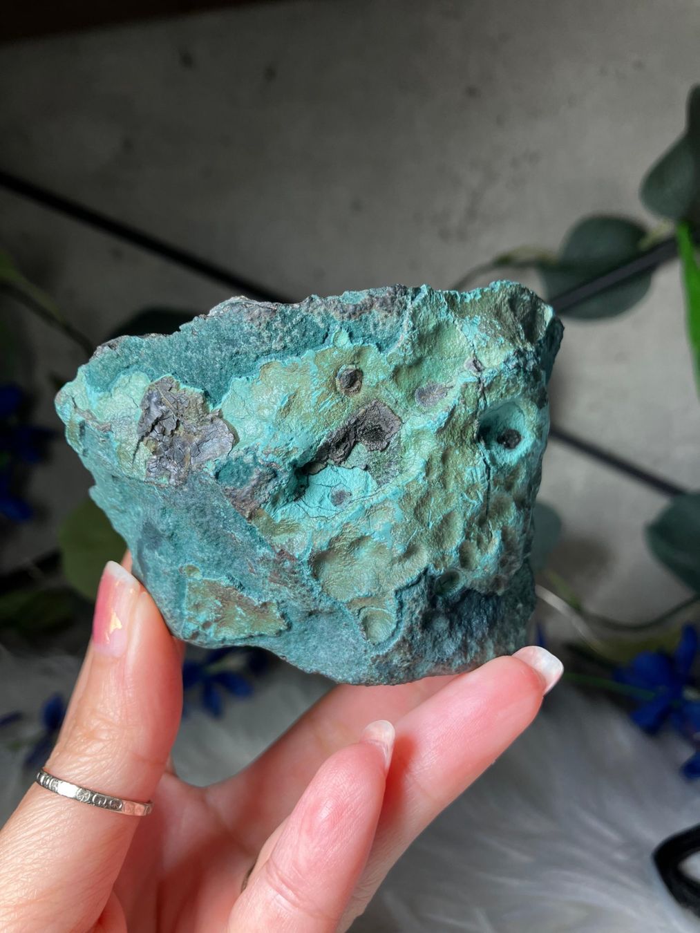 Minerali & Pietre curative: Grüner Chalcedon-Stalaktit – Nuovo (secondo la descrizione) da Neuheim venduto da m.hald 6