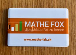 Mathe Fox 4 USB-Stick mit Übungsmaterial