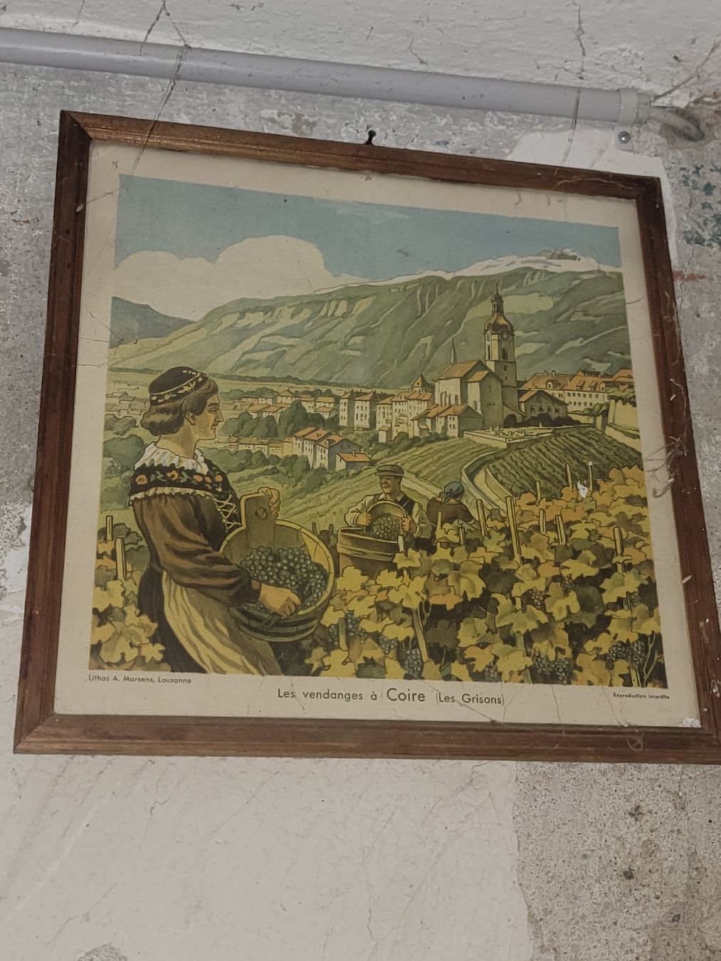 Poster & Bilder: Bild Grison Rebberge  Chur  – Gebraucht aus Sils im Domleschg von platin01