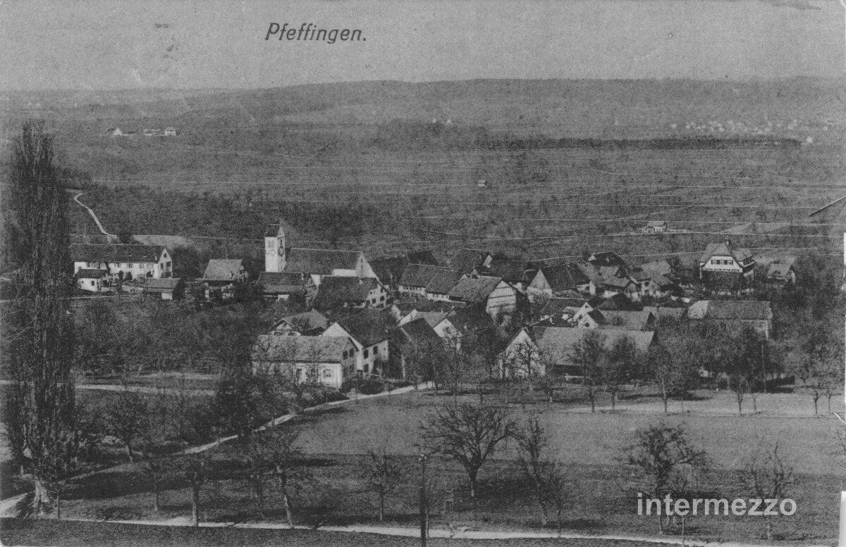 Ansichtskarten: Pfeffingen BL // 1921 Dorf Birseck – Gebraucht aus Basel von intermezzo12