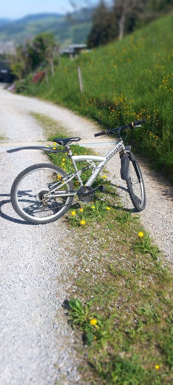 Fischer Biciclette: Fischer Mountainbike Silber – Usato da Ebnat-Kappel venduto da blazzi 3