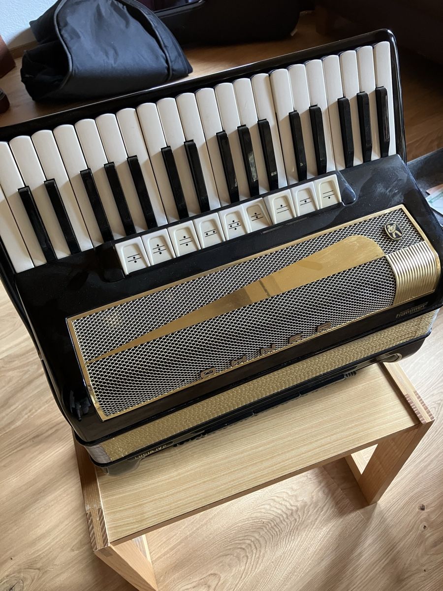 Hohner Strumenti musicali: Hohner Klavier Akkordeon – Usato da Röthenbach i. E. venduto da Eisbaer011