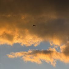 Profile image of woo_r22