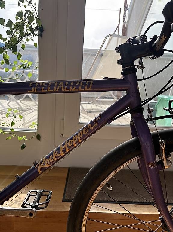 Specialized Biciclette: Vélo specialized rockhopper violet – Usato da Lausanne venduto da ama_b95d 3