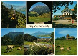 Küssnacht am Rigi - 6 Bild AK