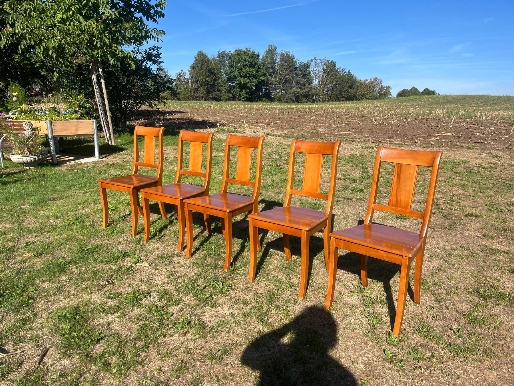 Stühle: 5 Stühle Nussbaum Massiv – Gebraucht aus Allmendingen b. BE von juair 4