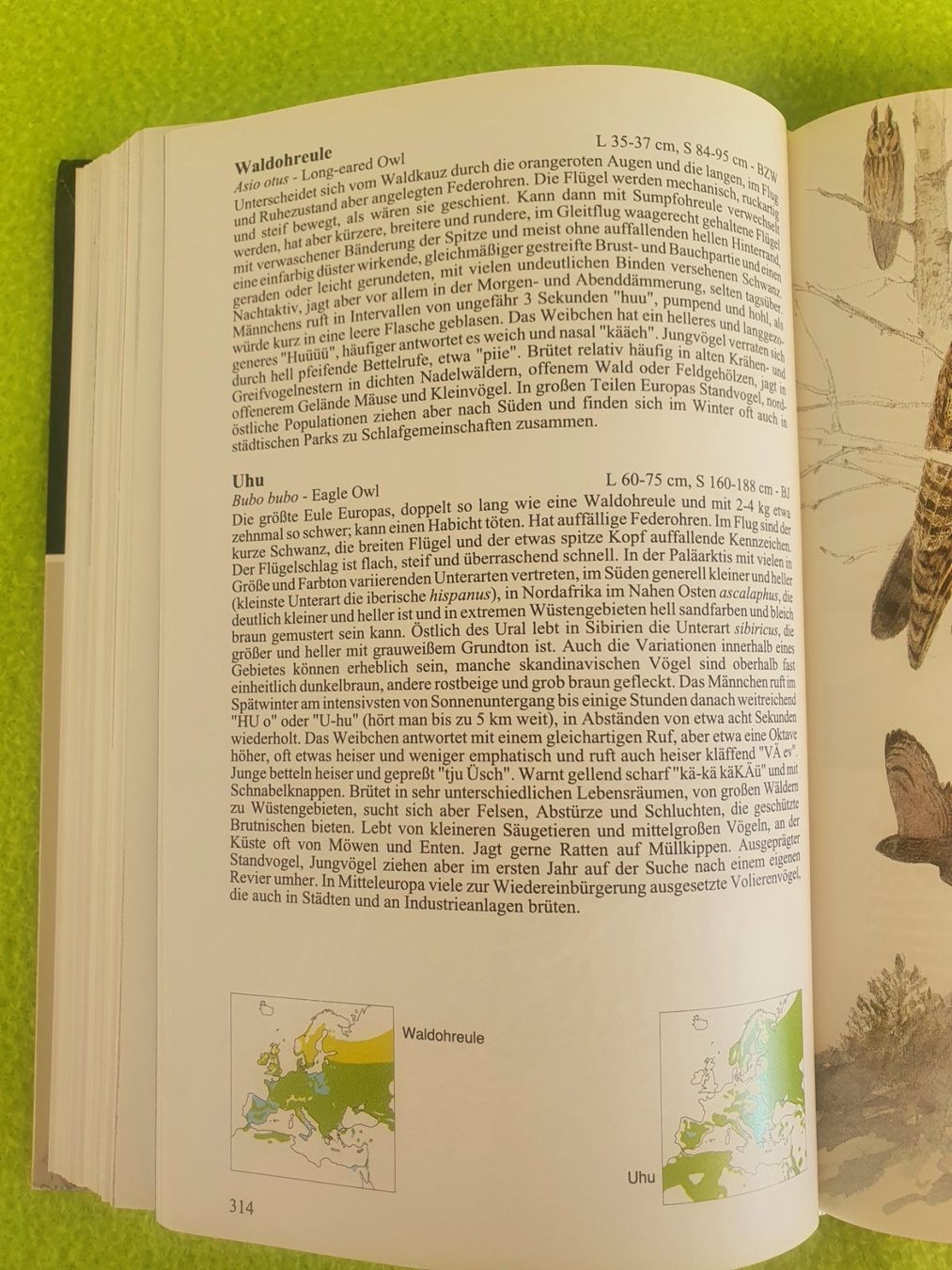 Libri: Die Vögel Europas – Usato da Steinhausen venduto da joseph-sen 6