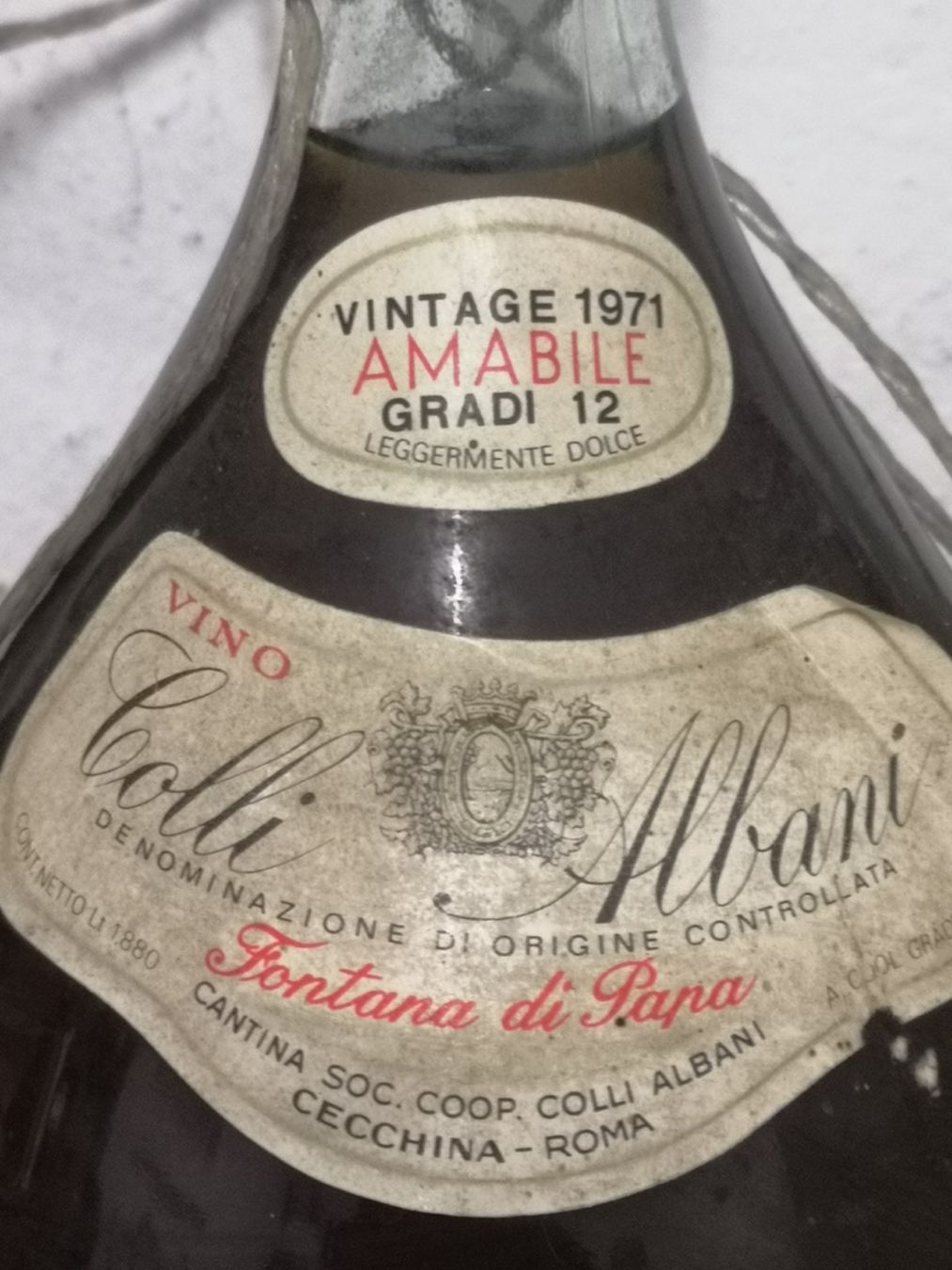 Vino: Alter und seltener Wein 1,5l – Usato da Bern venduto da Elena1965 3