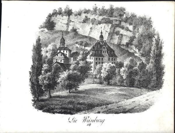 Incisioni: Weinburg Lithographie von Pecht – Usato da Rafz venduto da Helvet32