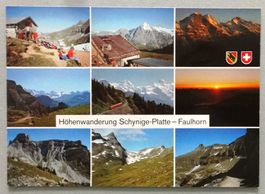 Höhenwanderung Schynige-Platte -Faulhorn