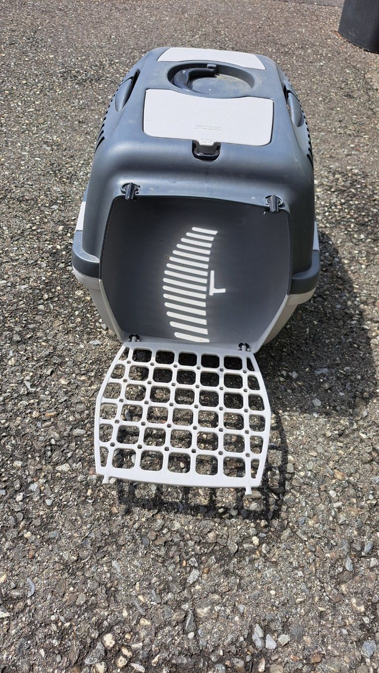 Gabbie, trasporto & Sicurezza: Transport Box Kaninchen/Katze – Usato da Azmoos venduto da MartinaK01 4