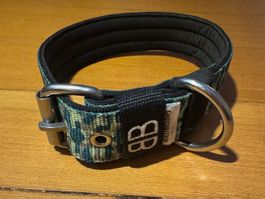 BullyBillows Halsband S (Gebraucht) in Bern fr CHF 10  mit Lieferung auf  Ricardo kaufen