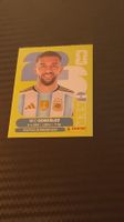 Panini Nico Gonzalez ein Bild 2026