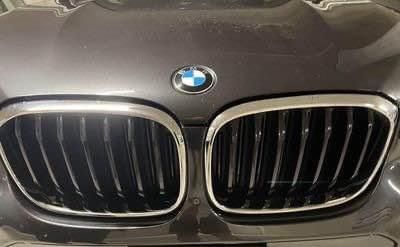 BMW Tutti pezzi di ricambio auto: Ziergitter BMW X4 Neu – Usato da Hinwil venduto da YPMK61