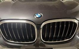 Ziergitter BMW X4 Neu