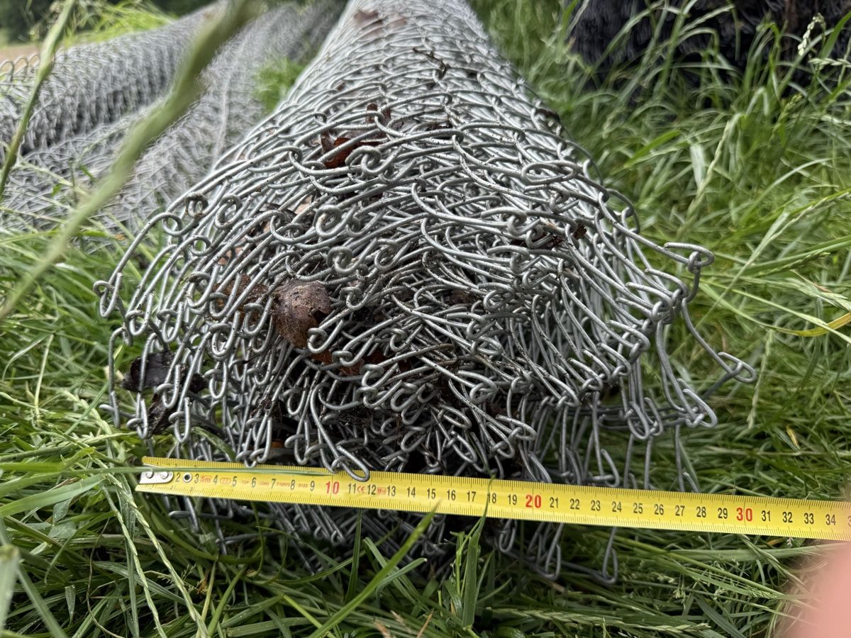 Fendivista: Ab 1Fr Diagonalgeflecht Zaun – Usato da Oftringen venduto da sar_5sgb 1