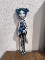 Monster High custom Vangogh Doll,  ooak doll, 