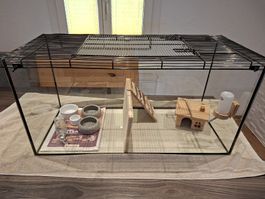 Zwerghamster Terrarium 