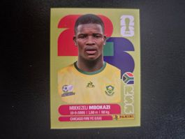 Panini WM 26 RSA 6