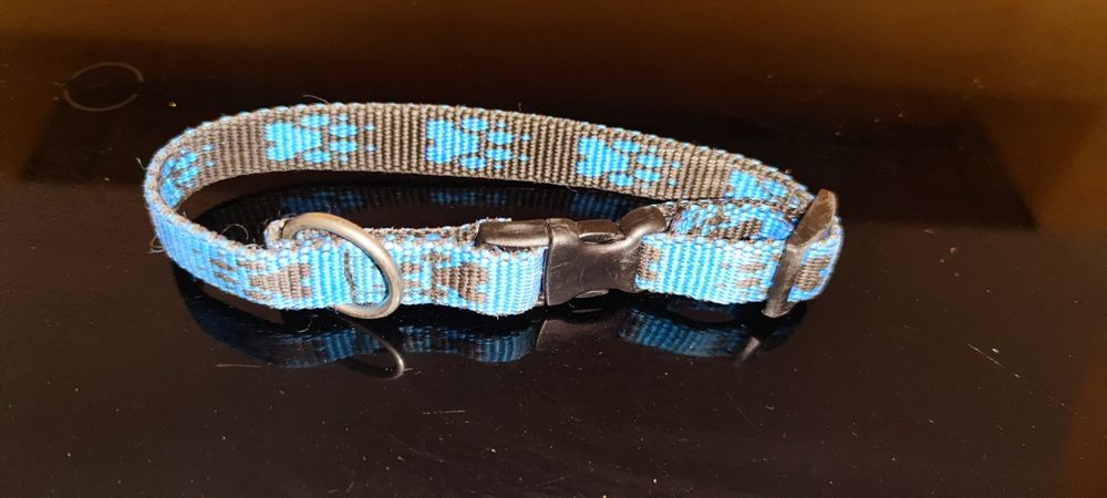 MORSO 7000 Hundehalsband – Größe S, Blau, Aus Weichem Satinband, Maschinenwaschbar