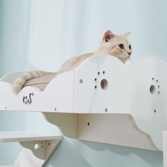 Liege- & Schlafplätze: CatS Design "Wandpark" Wandbett – Neu und originalverpackt aus Mönchengladbach von Zoopplier 5