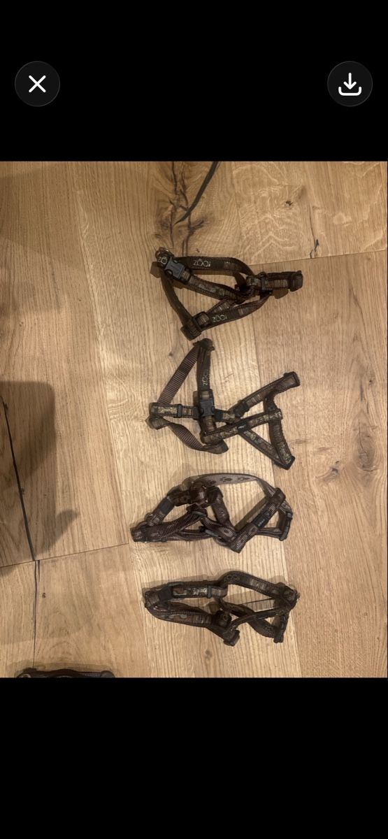Leine & Halsband: 50 Stück neue Hundegeschierre – Neu (gemäss Beschreibung) aus Trübbach von alder.m 5
