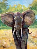 Sergio: savane