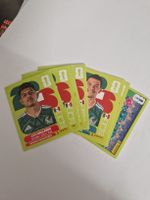 Panini MEX / Mexiko