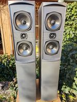Lautsprecher NAD/PSP 855