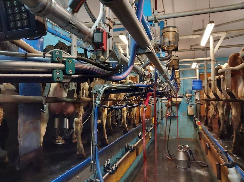 Melkstand de laval inkl. Futterstation evtl. Milchtank 1