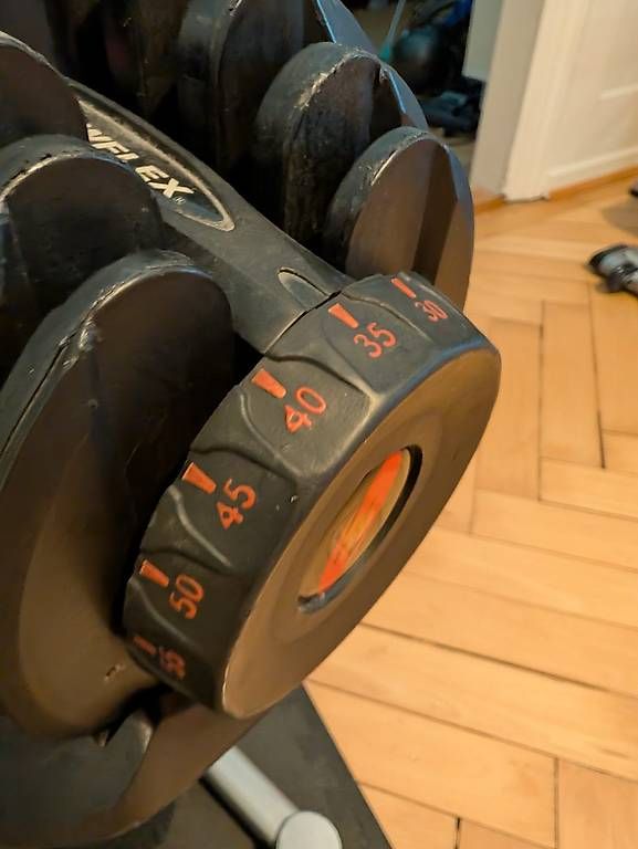 Bowflex Manubri & Pesi: Bowflex SelectTech Hanteln 2x 40kg (1090i) mit Ständer – Usato da Rorschach venduto da sumpfhai1 2