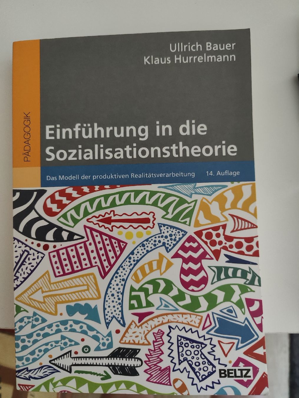 Libri: Einführung in Sozialisationstheorie  – Usato da Walkringen venduto da kimleu22