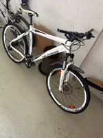 Velo California X2
