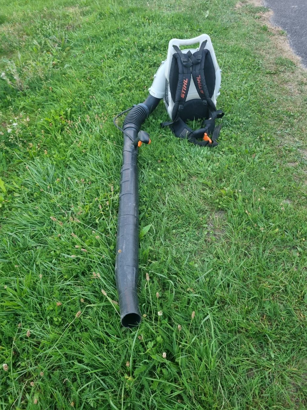 Stihl Laubbläser & Laubsauger: STIHL BR 600 MAGNUM – Gebraucht aus Emmenbrücke von  3