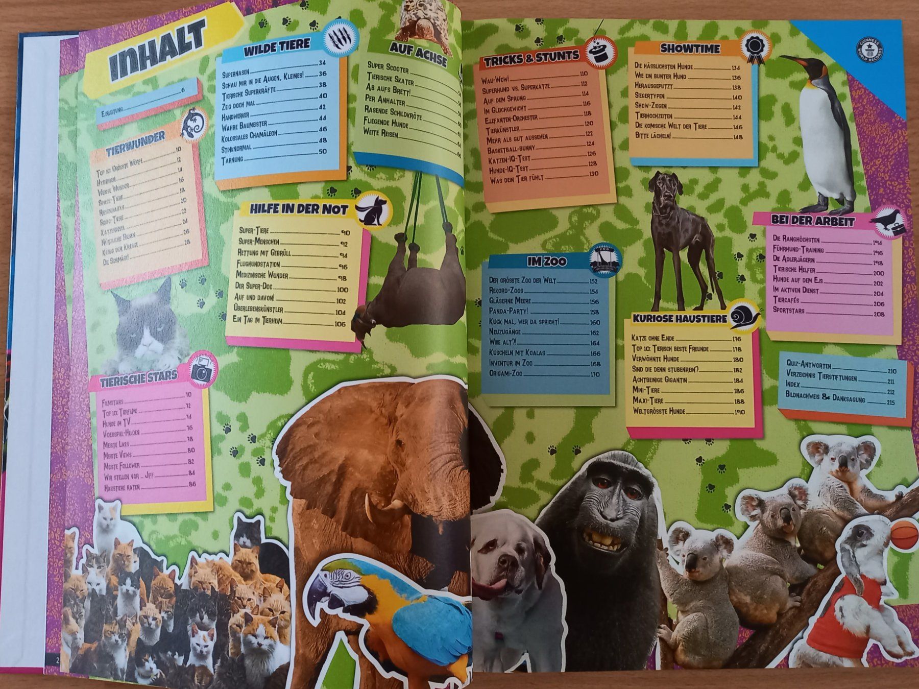 Libri: Guinness World Records Super Tiere Buch – Usato da Obernau venduto da Corolli 2