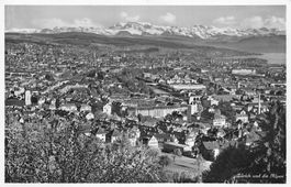 Zürich und die Alpen