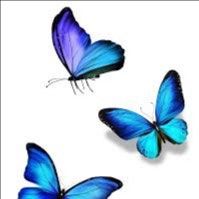 Profile image of -Edelfalter-
