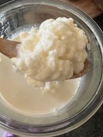Gesunde Bio Kefirknollen, Kefir Pilz für frischen Kefir!