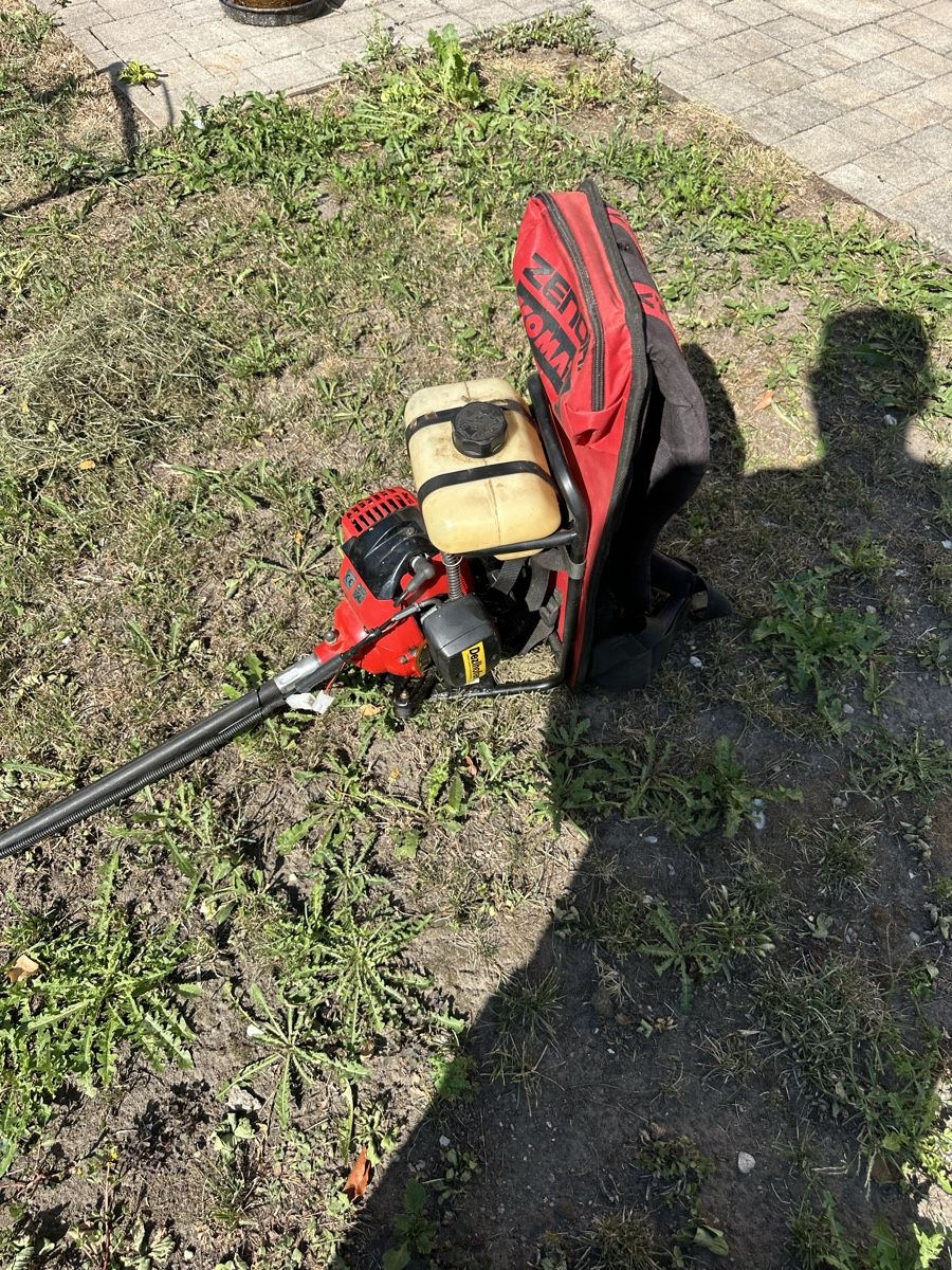 Tagliaerba: Rasentrimmer mit Motor G35L – Difettoso da rorschach venduto da ciciban02 1