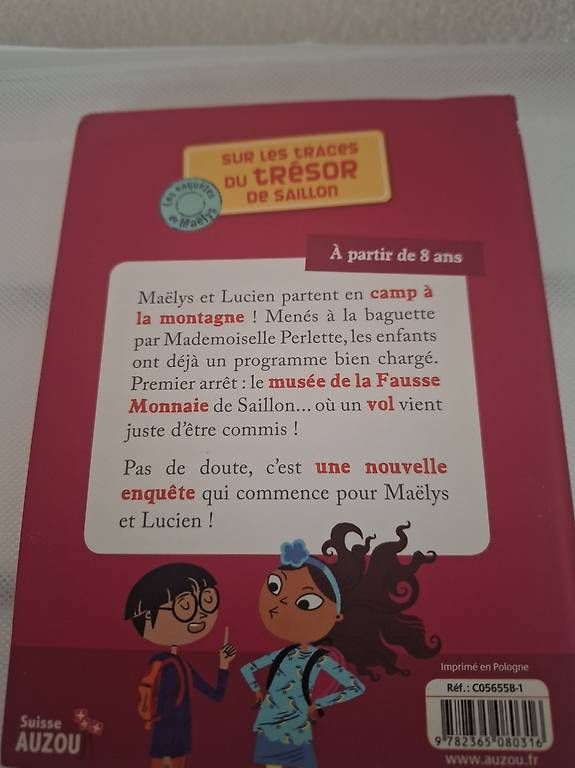 Bücher: Sur les traces du trésor de Saillon – Gebraucht aus Conthey von meugnieranne 1