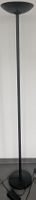 Modern Black Floor Lamp