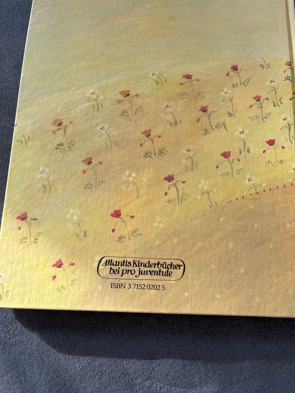 Libri: Peters Traumdecke – Usato da Niederhasli venduto da Suneblueme 1